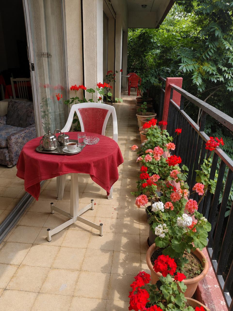 Danniyeh scenery